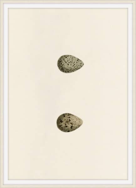 Unhatched 1 Wall Art