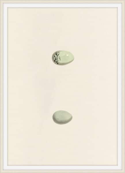 Unhatched 2 Wall Art