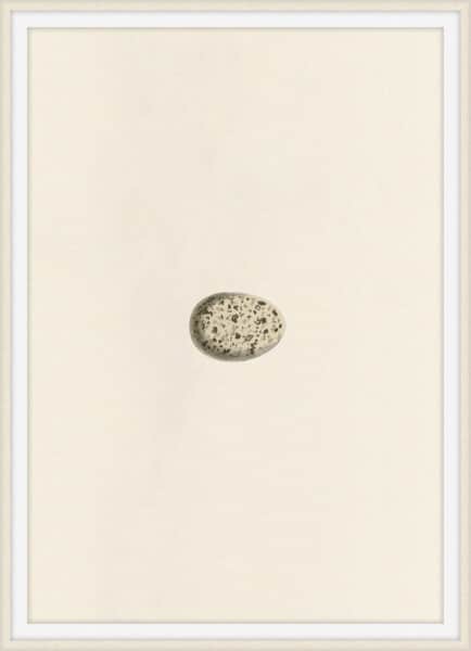 Unhatched 3 Wall Art