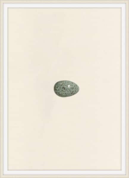 Unhatched 5 Wall Art
