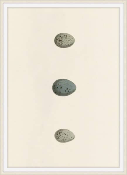 Unhatched 6 Wall Art
