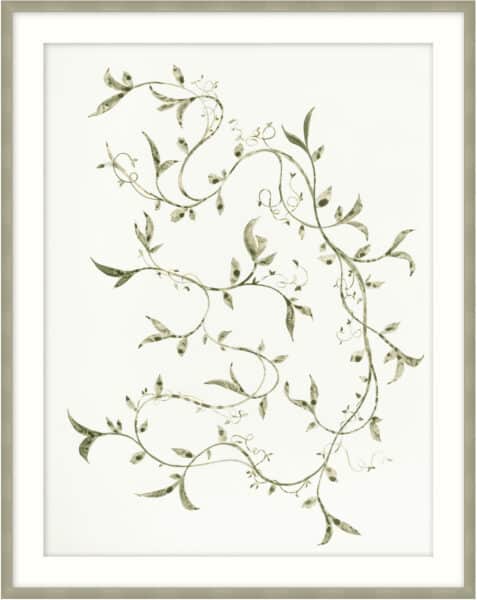 Leafy Vines 4 Wall Art