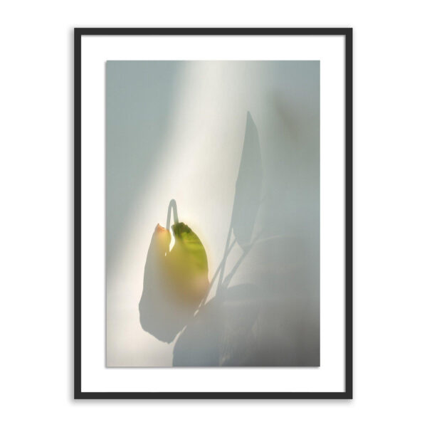 Flower Room by Fountain Grass Studios, Large