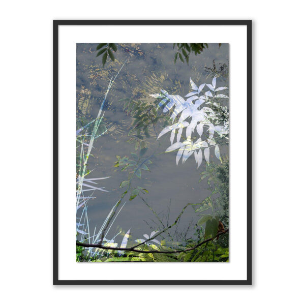 Imagine by Fountain Grass Studios, XL
