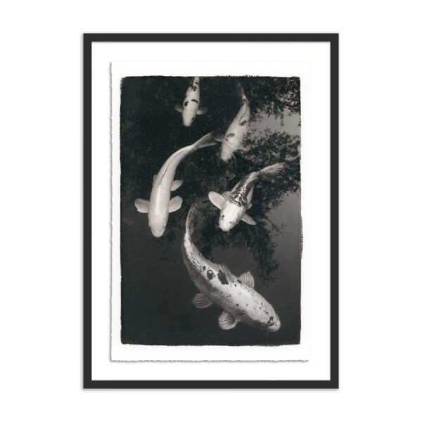 Koi Pond 1 by Platinum Revival, XL