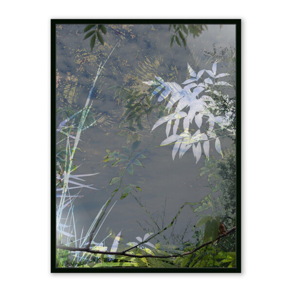 Imagine by Fountain Grass Studios, Large