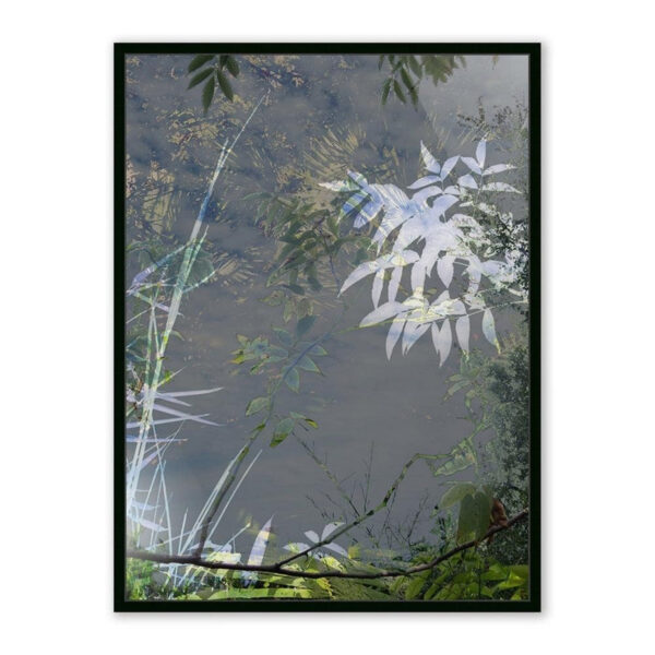 Imagine by Fountain Grass Studios, Medium