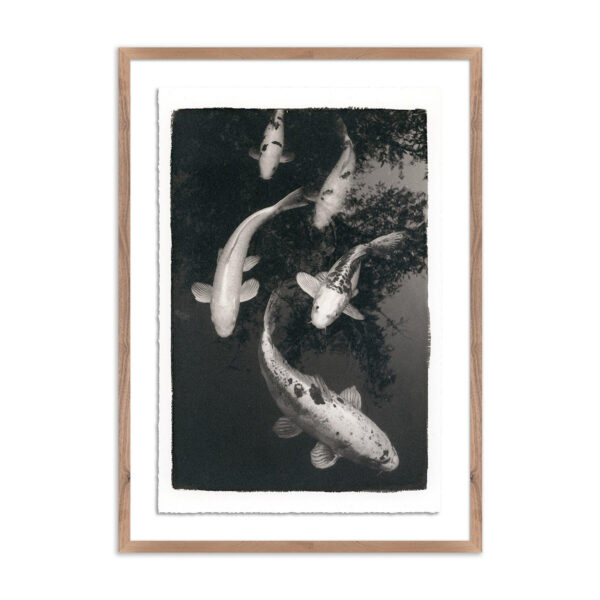 Koi Pond 1 by Platinum Revival, XL