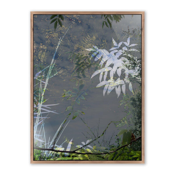 Imagine by Fountain Grass Studios, Large