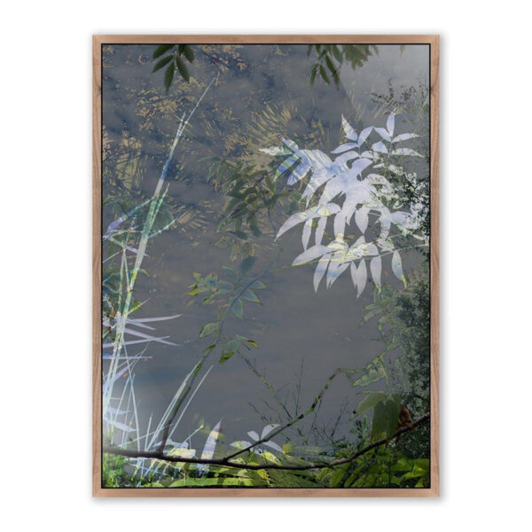 Imagine by Fountain Grass Studios, Medium