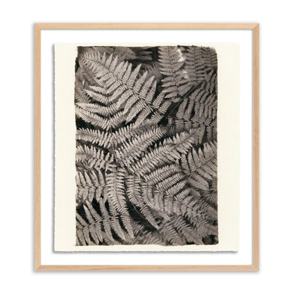 Fern by Platinum Revival, Small