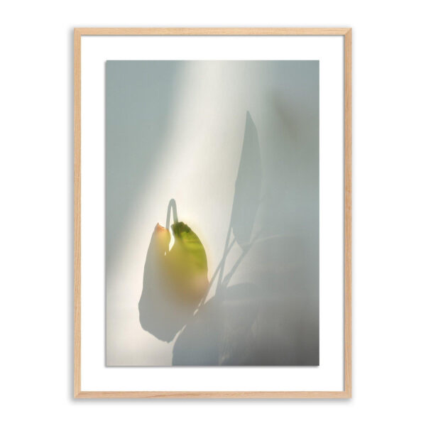 Flower Room by Fountain Grass Studios, XL