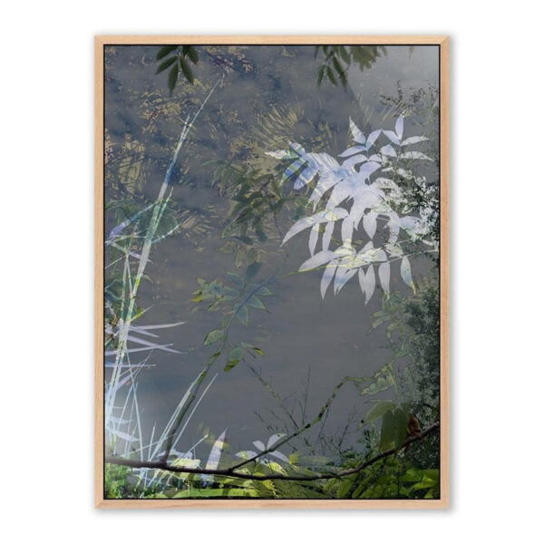 Imagine by Fountain Grass Studios, Medium