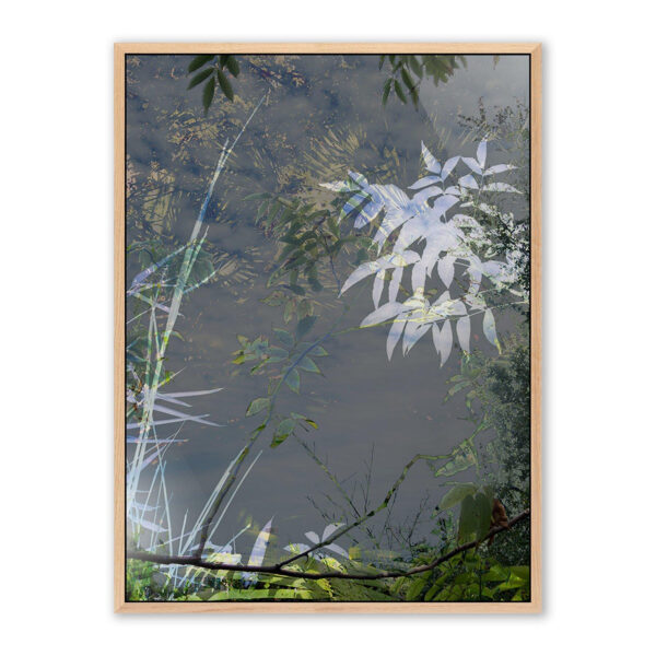 Imagine by Fountain Grass Studios, XL
