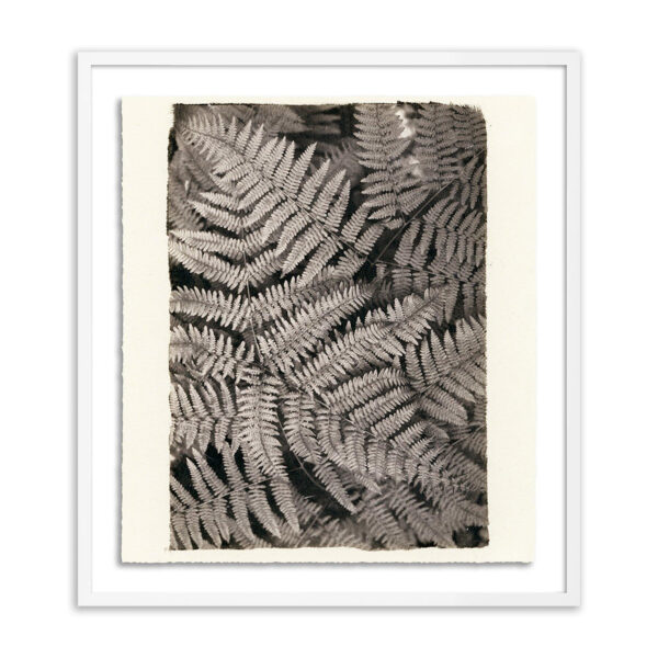Fern by Platinum Revival, Small