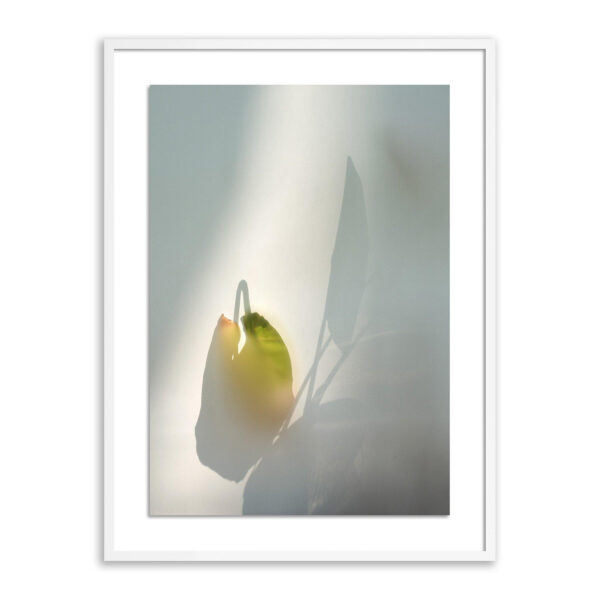Flower Room by Fountain Grass Studios, Large