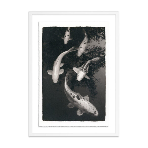 Koi Pond 1 by Platinum Revival, XL