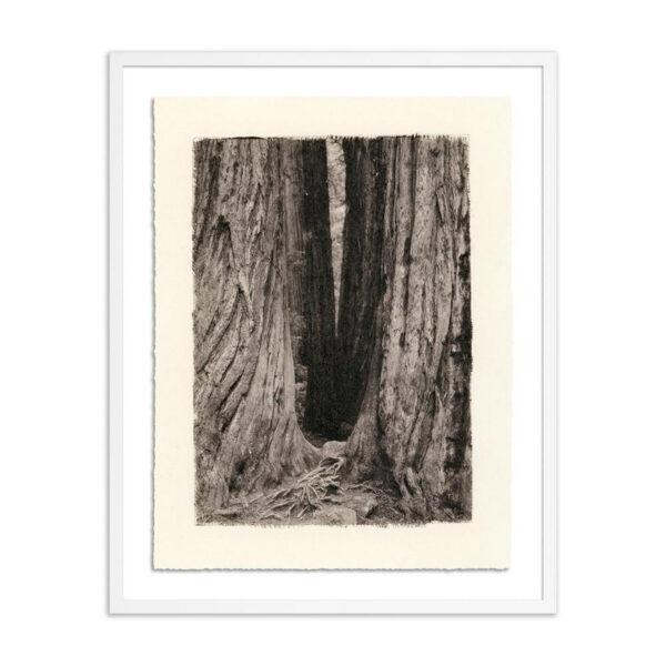Redwoods Magical Portal by Platinum Revival, Med