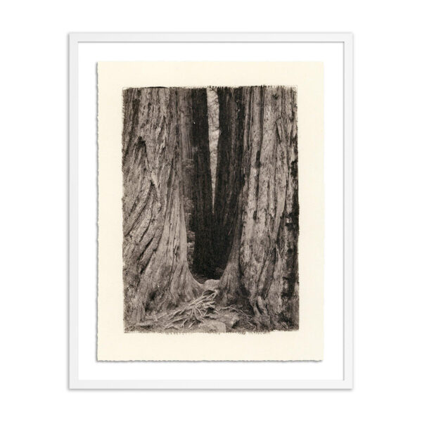 Redwoods Magical Portal by Platinum Revival, Small