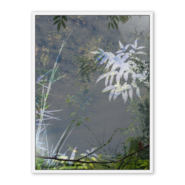 Imagine by Fountain Grass Studios, Large