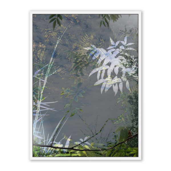 Imagine by Fountain Grass Studios, Medium