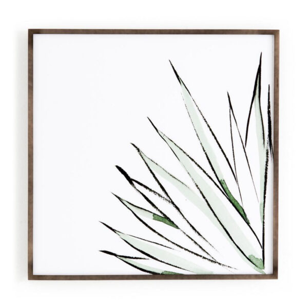 Agave Crop by Jess Engle