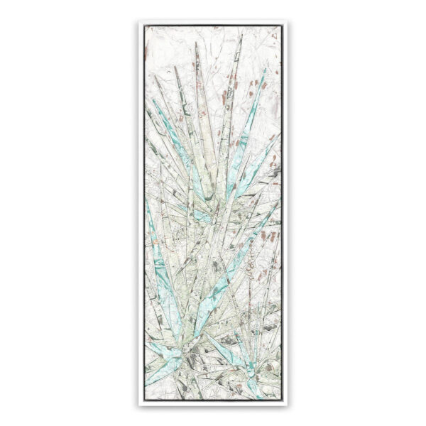 Aloe 1 by Douglas Galloway, Extra Large