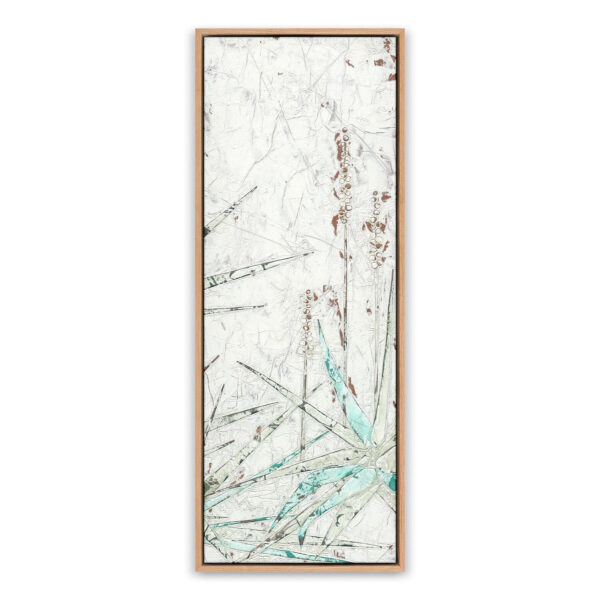 Aloe 2 by Douglas Galloway, Extra Large