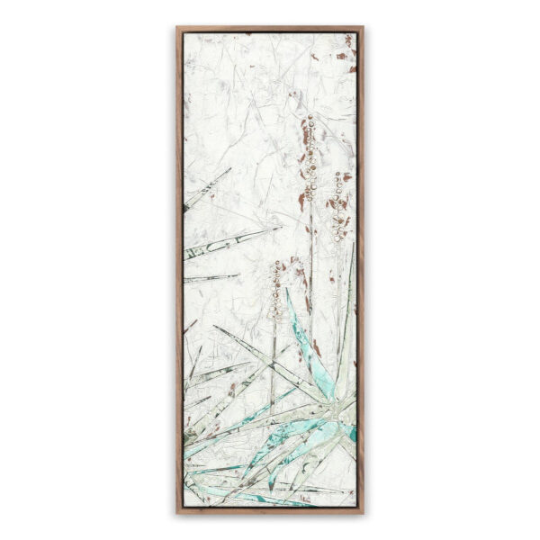 Aloe 2 by Douglas Galloway, Extra Large