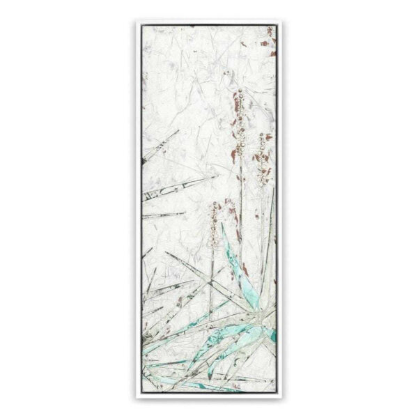 Aloe 2 by Douglas Galloway, Medium