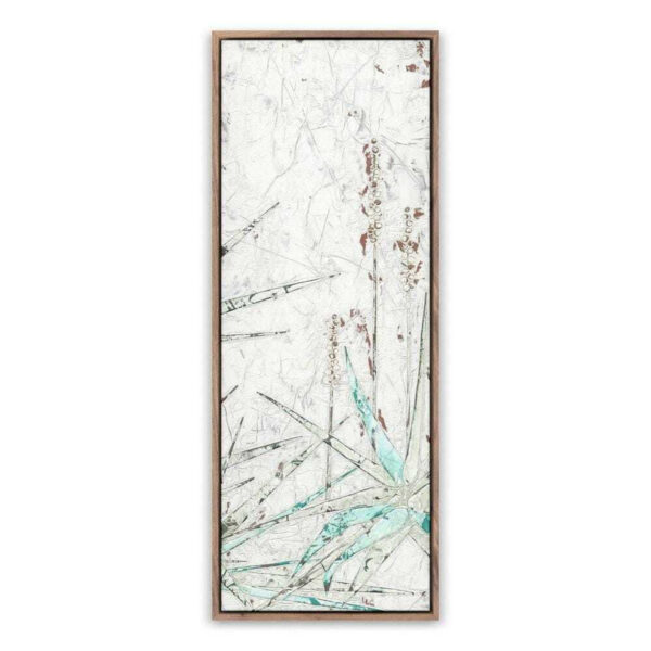 Aloe 2 by Douglas Galloway, Medium