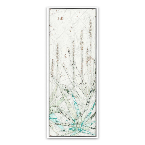 Aloe 3 by Douglas Galloway, Extra Large