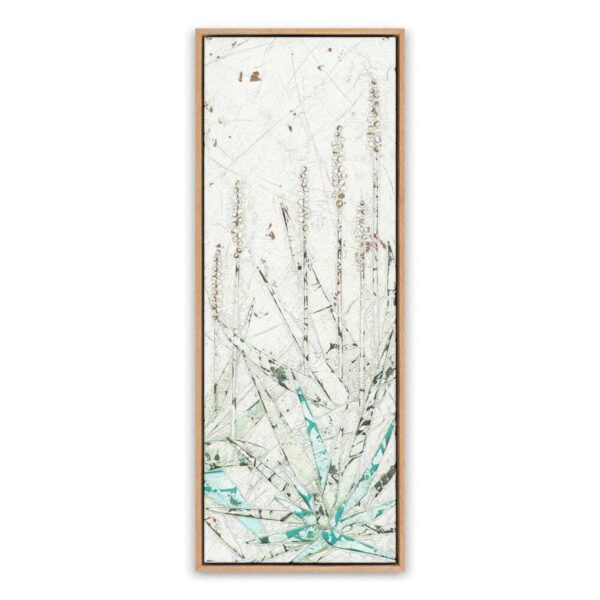Aloe 3 by Douglas Galloway, Medium