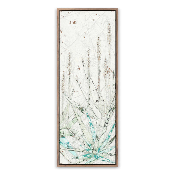 Aloe 3 by Douglas Galloway, Small