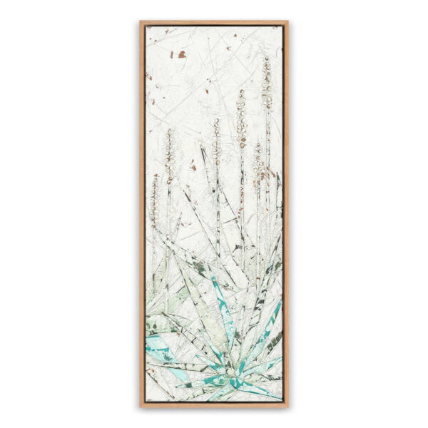 Aloe 3 by Douglas Galloway, Small