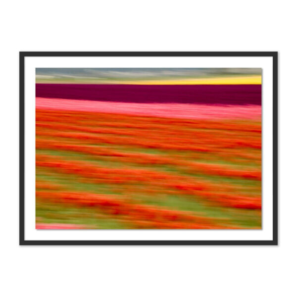Blurred Flowers II by Geoffrey Baris