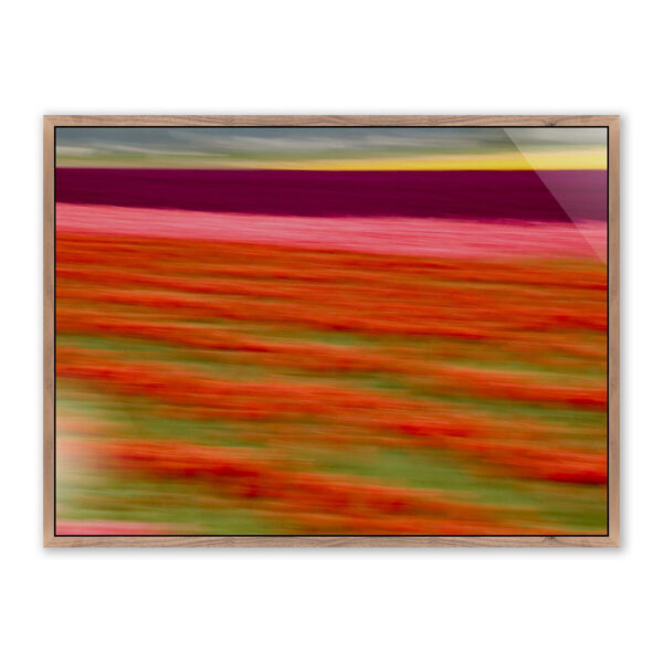 Blurred Flowers II by Geoffrey Baris