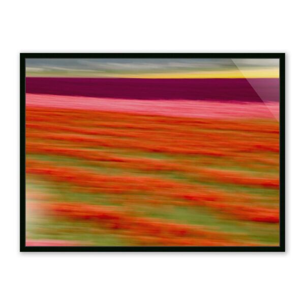 Blurred Flowers II by Geoffrey Baris