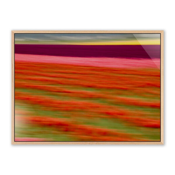 Blurred Flowers II by Geoffrey Baris