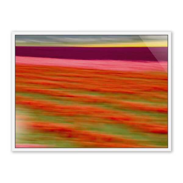 Blurred Flowers II by Geoffrey Baris
