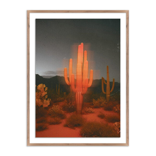 Glowing Saguaro by Coup D'Esprit