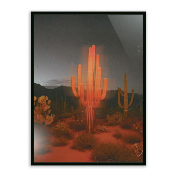 Glowing Saguaro by Coup D'Esprit