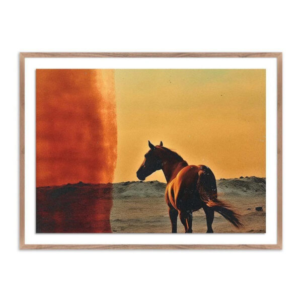 Horse by Coup D'Esprit
