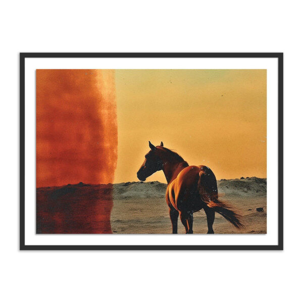 Horse by Coup D'Esprit