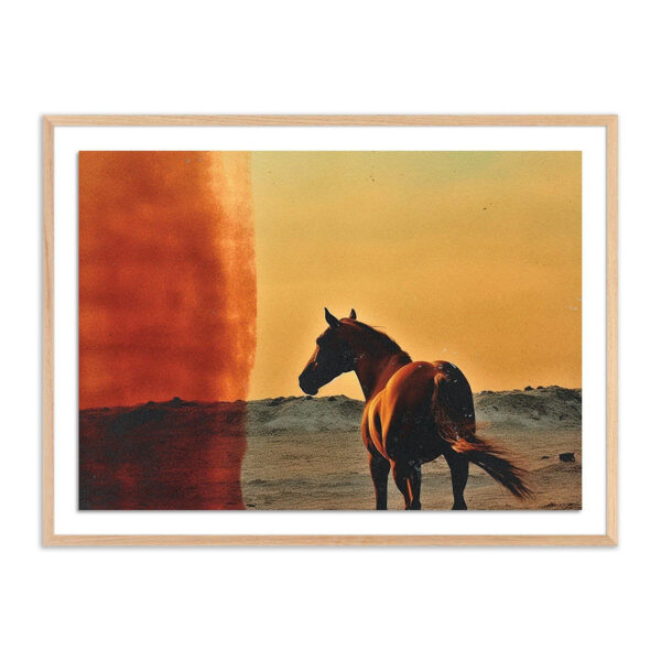 Horse by Coup D'Esprit