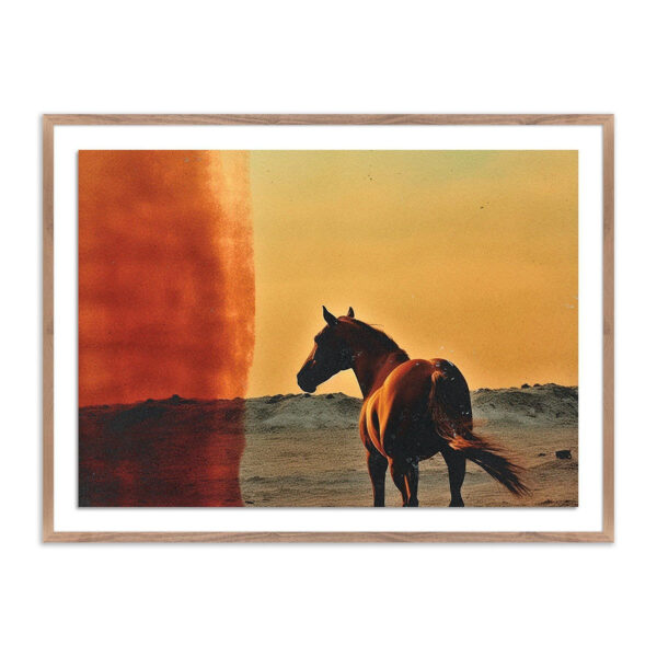 Horse by Coup D'Esprit