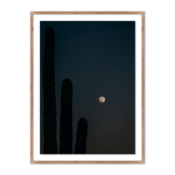 One, Two, Three Moon by Coy Aune