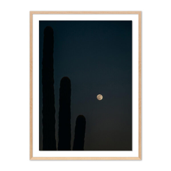 One, Two, Three Moon by Coy Aune