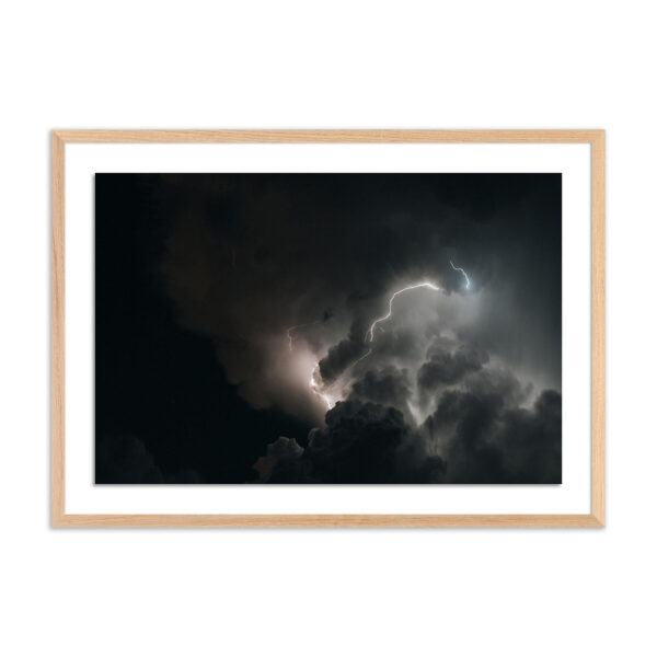 Strike V by Mandy Steinback, Large