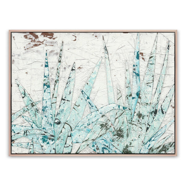Study of Blue Agave by Douglas Galloway